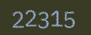 Security check