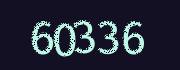 Security check