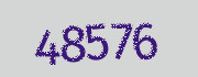 Security check